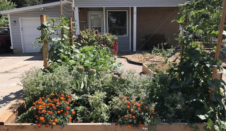 John and Holly Trimble's garden