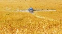 tractor spraying chemicals in yellow field