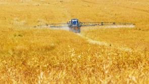 tractor spraying chemicals in yellow field