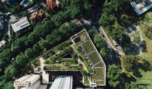 Image: a green roof in Singapore