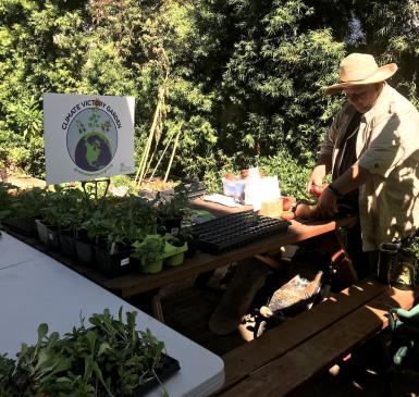 Image: person working in garden. Topic: Growing Hope Gardens Help the Homeless