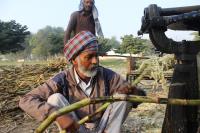 man holding sugar cane 