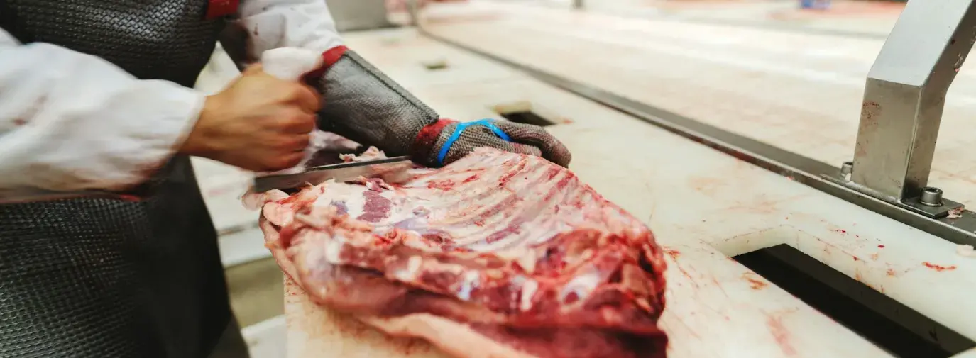 Meatpacking Industry