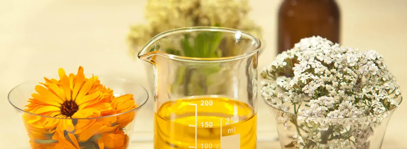 Image: flowers and essential oil. Topic: 10 Herbs for Topical Healing