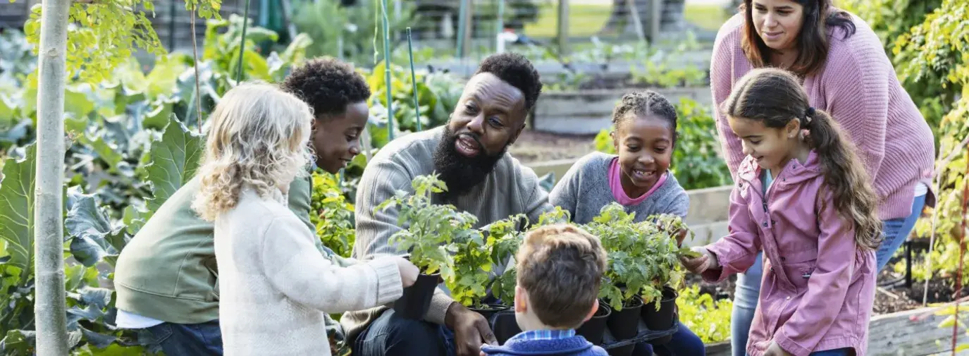 A Black man is holding a tray of potted tomatoes. He is looking at a blonde child and talking with a happy look on his face. He is surrounded by five children, including the blonde child. To his immediate left and right are his daughter and son, respectively. A mom leans over from outside the circle of children to observe. They are all in a vibrant community garden.