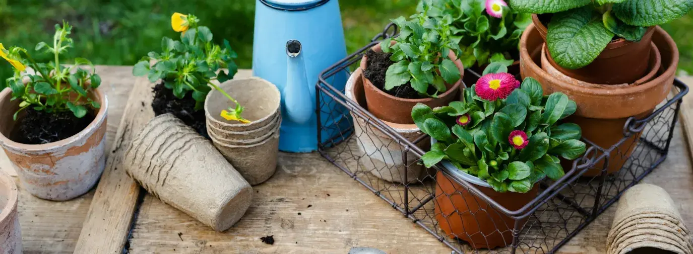 Climate Victory Gardening Resources | Tips, Guides & Tools