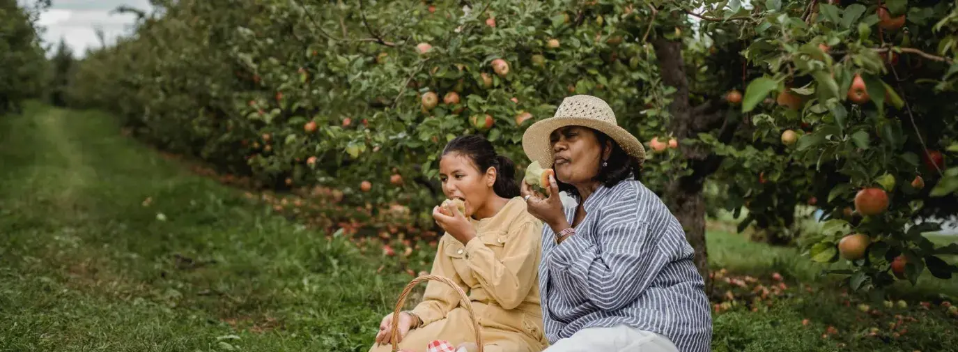 An Indian American mother and daughter sitting on a picnic blanket in an apple orchard. They are savoring bites of the apples that they picked together.