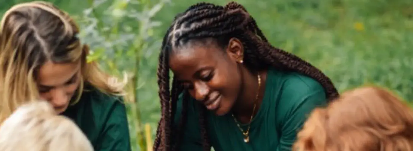 people working together to plant a tree