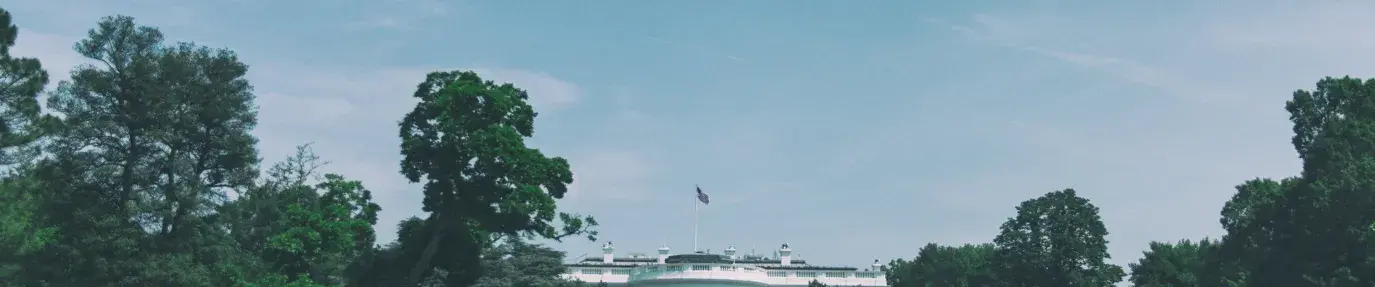 white house lawn and surrounding trees; the administration should build back greener