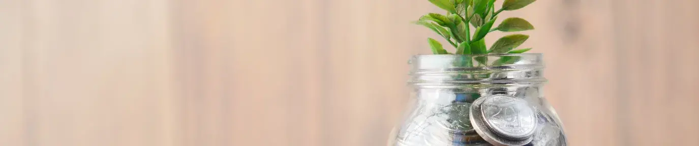 A clear jar full of coins with a small plant sprouting from thetop. Public Banking.