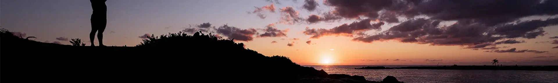 Image: person standing victorious on hilltop overlooking ocean and sunset: Topic: Green America's victories.