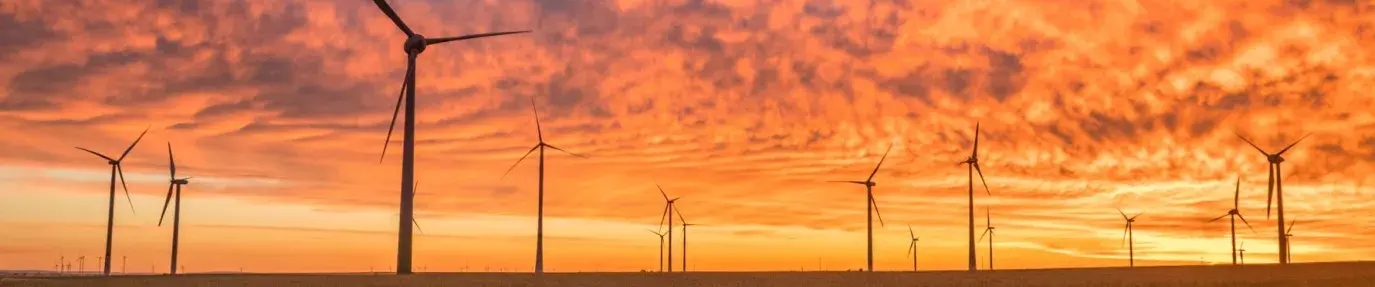 wind turbines in the sunset